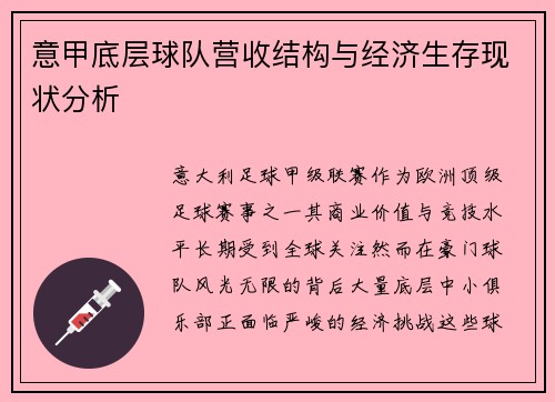 意甲底层球队营收结构与经济生存现状分析